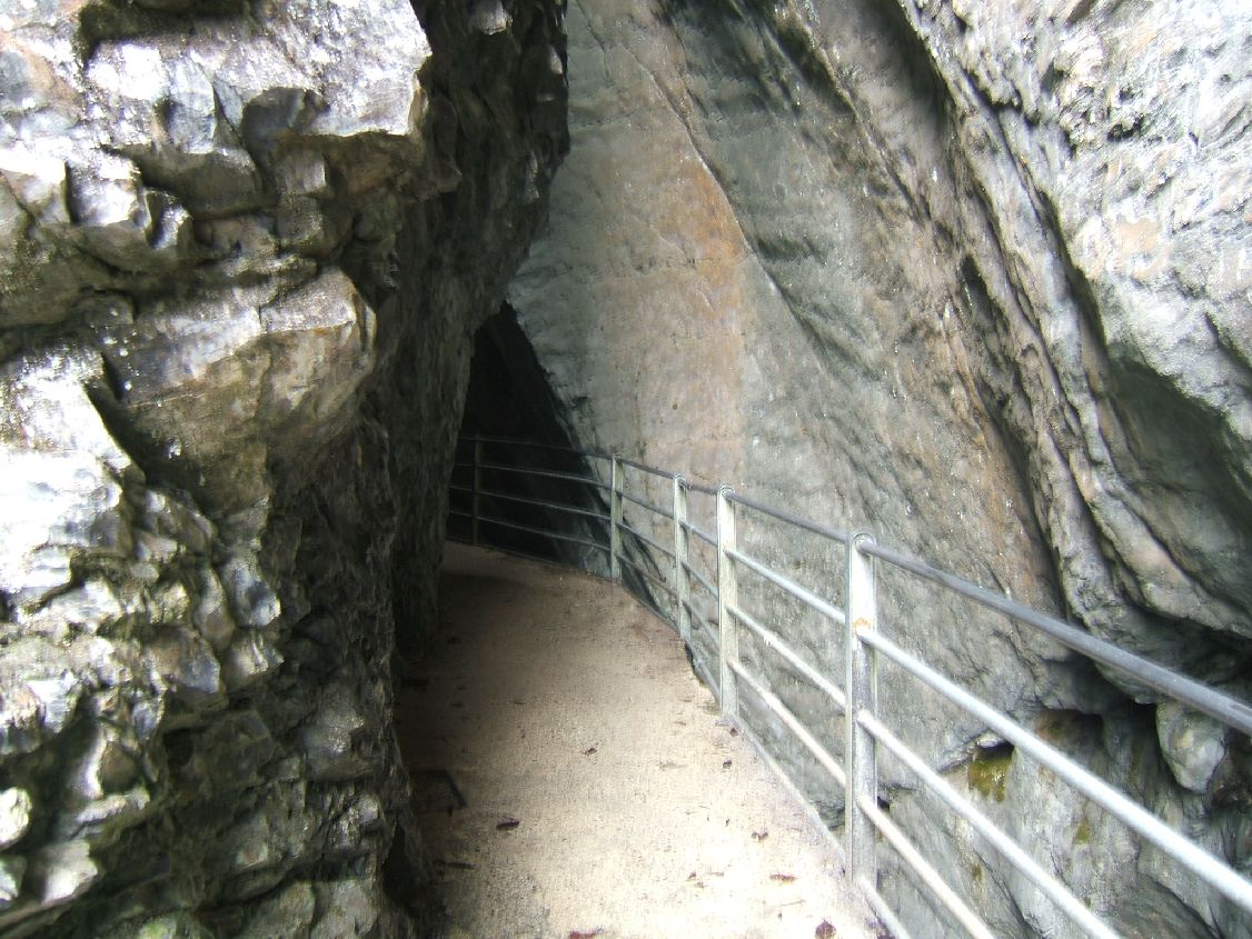 Switz2  012